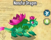 Nenufar dragon lv 4-6