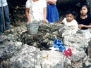 Nan0817d