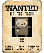 Wantedposter (6)