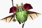 Barbuttkäfer Freundlich