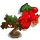 Pomegrante Bonsai Tree-icon