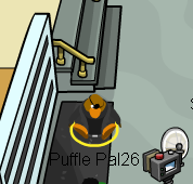 Mug Shot Pick Up.png (14 KB) Mug Shot Pick Up