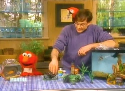 Msliving.elmo2001
