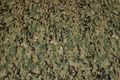 AOR-2.jpg