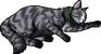 Echosong.kittypet