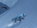 Kun-Lai Summit Arctic-Foxling01