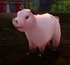ThunderfootPig