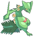 Sceptile Conquest.png