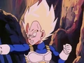 Vegeta 75654