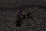 Feeding Cyrisus