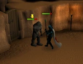 Grey golem fight