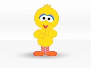 SSEnglish-Bird