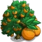 Navel Orange Tree-icon