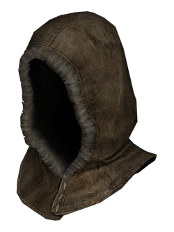 Apprentice Hood