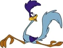 RoadRunner