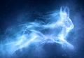 Patronus Hare.jpg