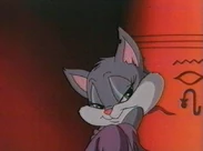 Rita the Cat