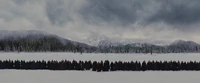 Volturi-whole