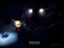Terraria picture