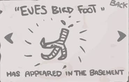 Evebirdfoot