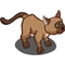 Burmese-icon