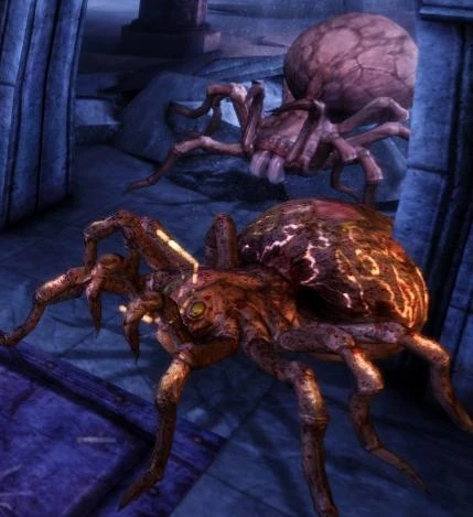 http://images4.wikia.nocookie.net/__cb20120621152861/dragonage/ru/images/3/30/%D0%93%D0%B8%D0%B3%D0%B0%D0%BD%D1%82%D1%81%D0%BA%D0%B8%D0%B9_%D0%BF%D0%B0%D1%83%D0%BA.jpg