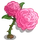 Damask Rose-icon