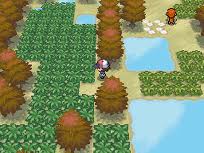Pokemon Dark Grass