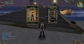 Weird playercard glitch