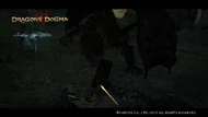 DrakeGrab