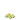 Flower04
