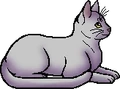 Cloud (Storm).elder.alt
