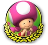 MK3DS Toadette icon