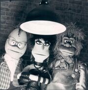 Gorillatvpressphoto