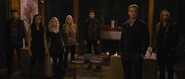 Denali coven (03)