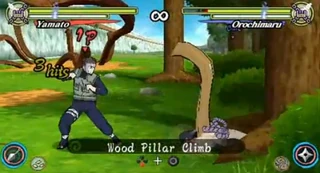 Wood Pillar Climb