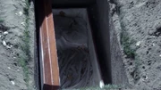 PLL301-0114