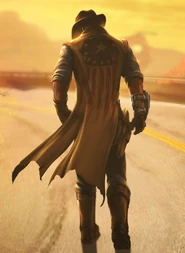 LR Courier