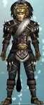 DW6E-DLC-Set02-03-Lion Armor