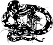 Amano FF1 Anaconda