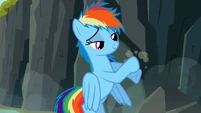 Rainbow Dash with messy mane S2E07