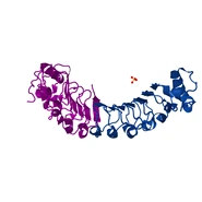 4EZG2.pdb1