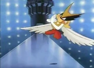 ShirleyHawkLoon