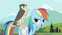 Rainbow Dash with the falcon 2 S2E07