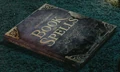 BookofSpellsMirandaGoshawk.jpg