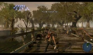 The Swamp Blockade