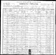 1900UnitedStatesFederalCensus 297736990