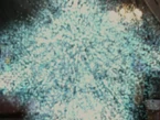 5x12-1