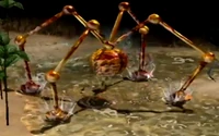 Beady Long Legs