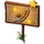 Ginseng Master-icon